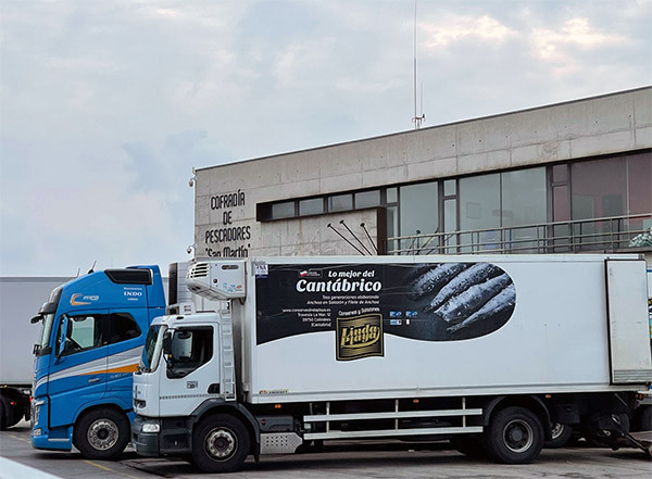 Arranca la costera del bocarte 2026 en el Cantábrico con una cuota superior a la del año anterior